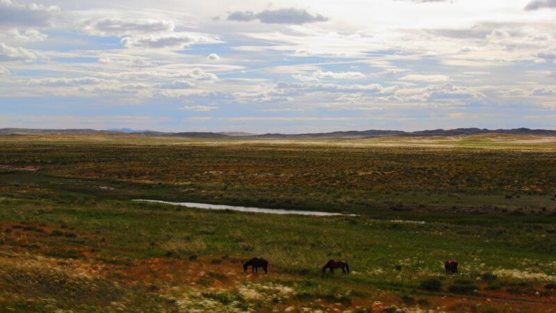 Wide photograph in Kazakhstan of three horses grazing on a grassy plateau.