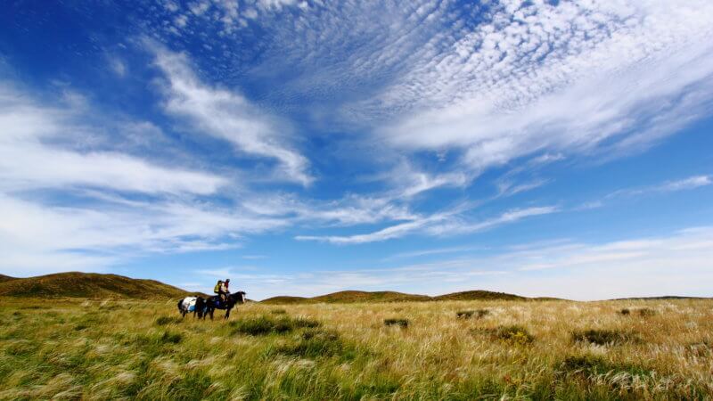 A lone horse and rider standing in the Kazakhstan steppe beneath a beautiful, big sky.