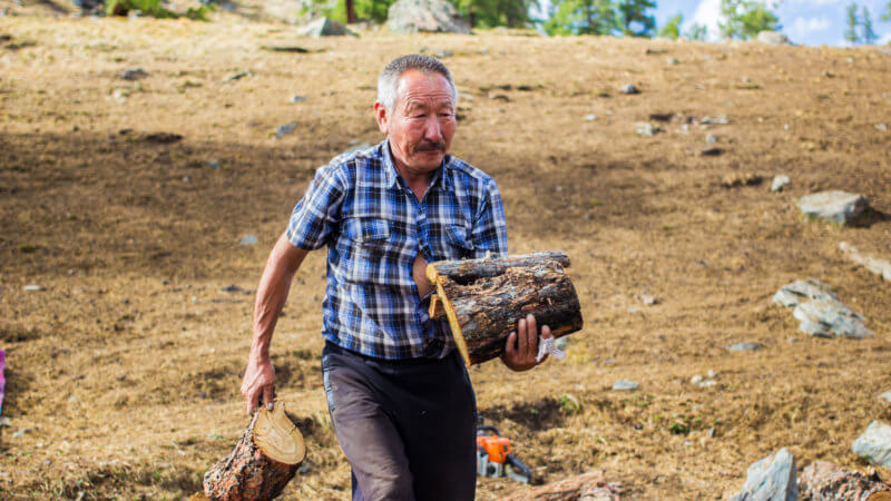 An older man with checked shirt carrying cut logs in his hand.