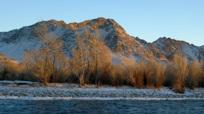 Winter sunset beside the Khovd River, with golden forest and mountains in distance.