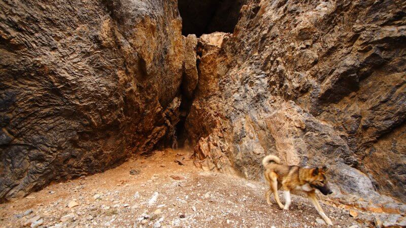 A dog walks past the camera as one man inspects the entrance of a large mountain cave.