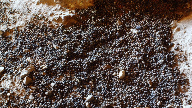 A large collection of peppercorn-like balls scattered over the ground of an abandoned Pamir Mountains mine.
